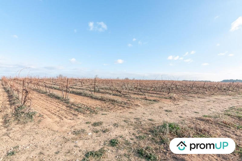 Terrain agricole - 57 000 m²