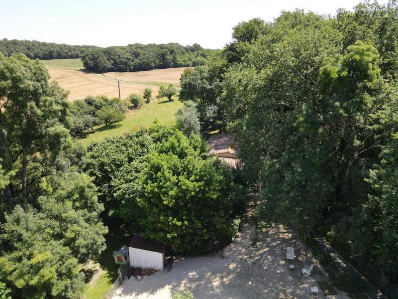 Maison en pierre - 355 m² - 11 pièces