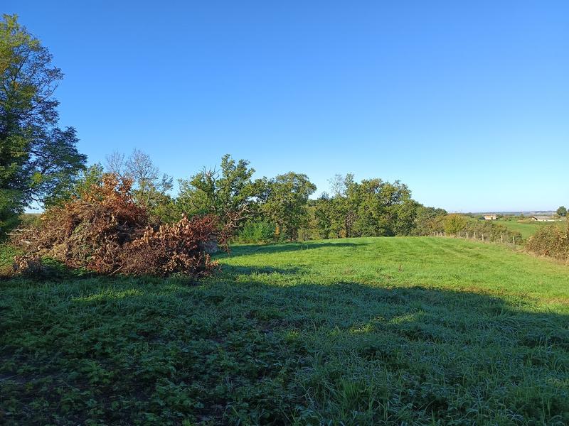 Terrain agricole - 9 582 m²