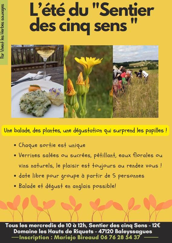 Le sentier des 5 sens au Domaine les Hauts de Riquets balade gourmande