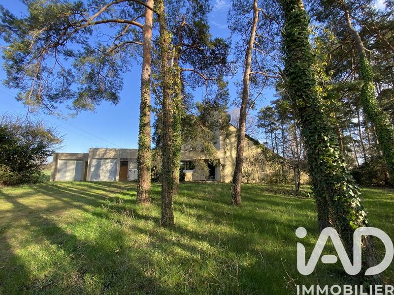 Maison de maîtres - 160 m² - 5 pièces