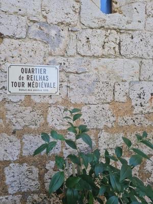 Propriété - 230 m² - 7 pièces