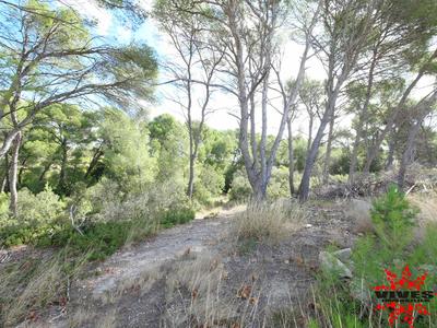 Terrain de loisirs - 23 990 m²