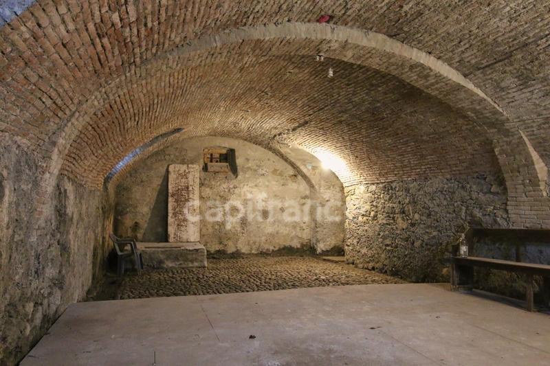 Maison bourgeoise - 539 m² - 14 pièces