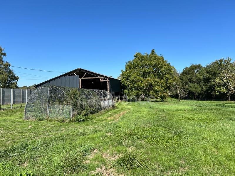 Maison - 137 m² - 4 pièces