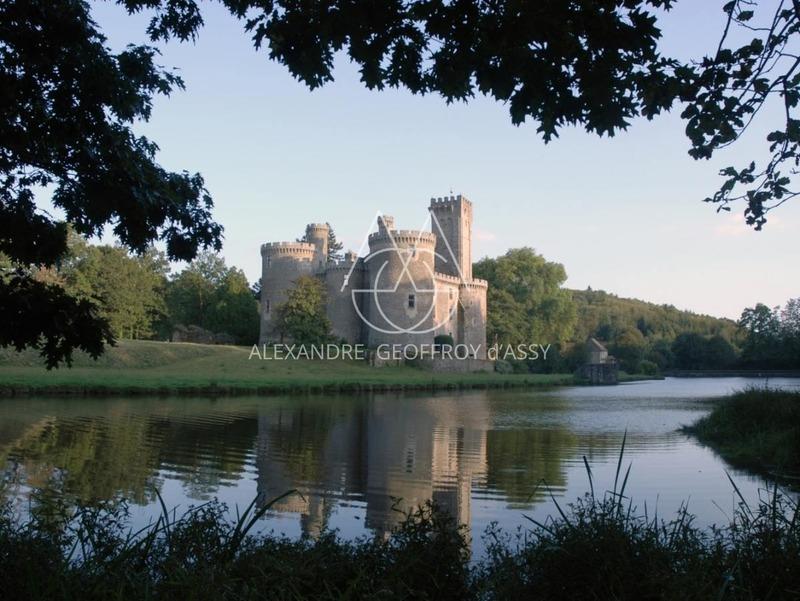 Château - 3 500 m² - 30 pièces