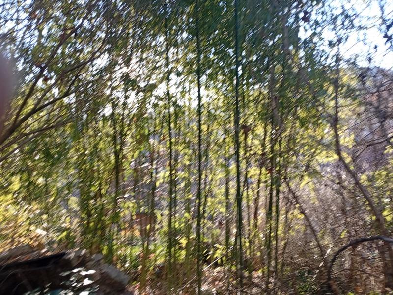 Maison - 167 m² - 6 pièces