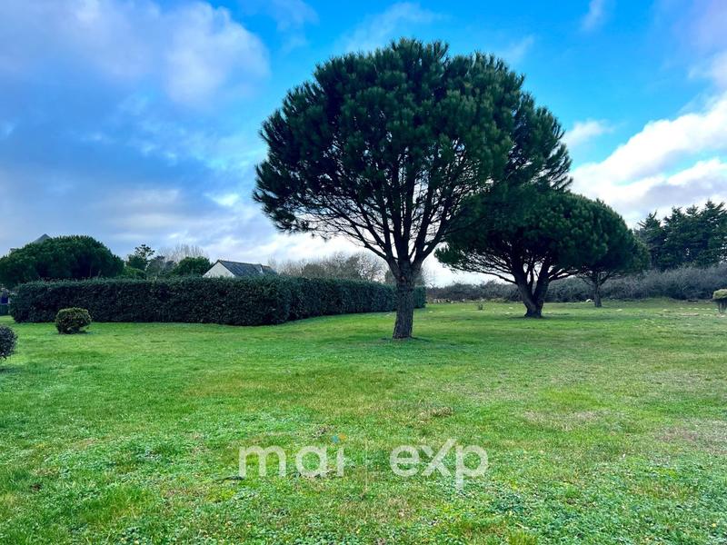 Appartement - 35 m² - 3 pièces