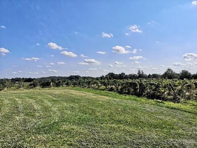 Propriété - 470 m² - 16 pièces