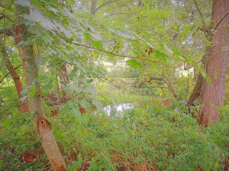 Maison - 94 m² - 5 pièces