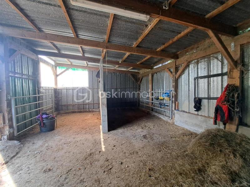 Maison de domaine équestre - 116 m² - 5 pièces