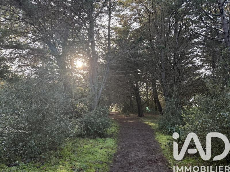 Maison - 30 m² - 2 pièces