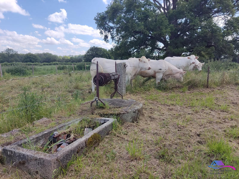 Maison - 76 m² - 3 pièces