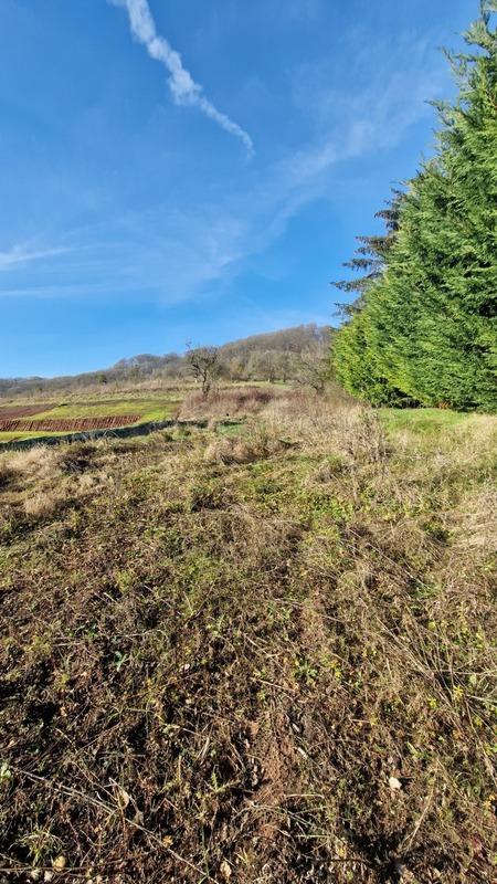 Terrain constructible - 795 m²