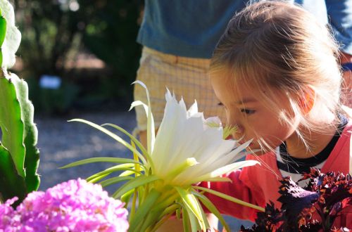 Jardin aux Plantes Parfumées