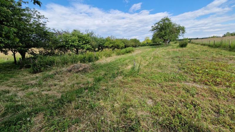 Maison de campagne - 147 m² - 5 pièces