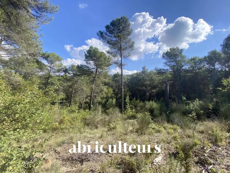 Terrain constructible - 2 653 m²