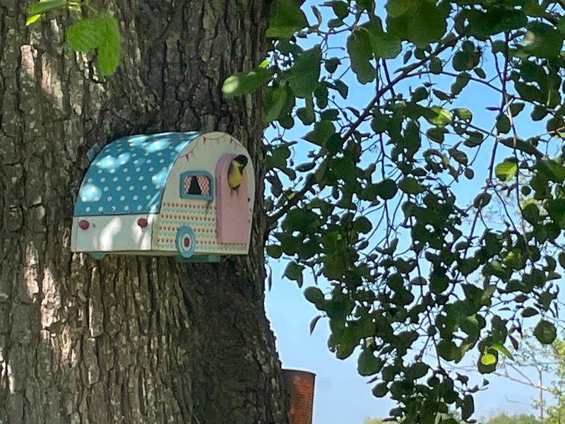 Terrain de loisirs - 1 024 m²