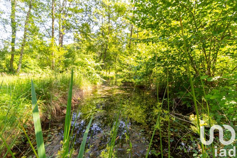 Terrain - 39 973 m²