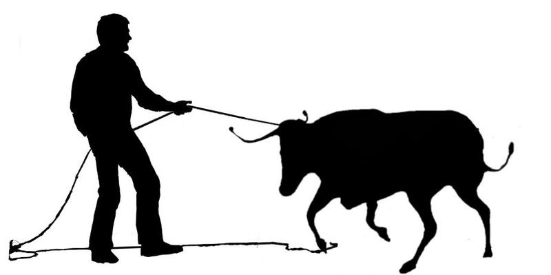 Ferrade à la Ganaderia de Maynus