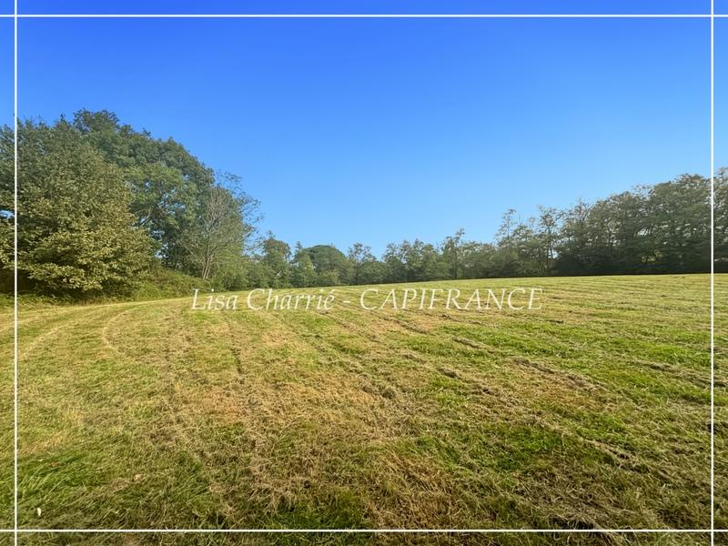 Terrain constructible - 10 455 m²