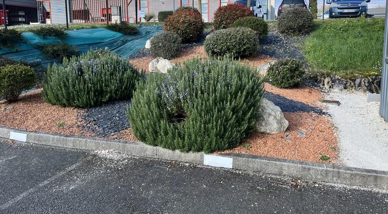 Local d'activités - 1 300 m²