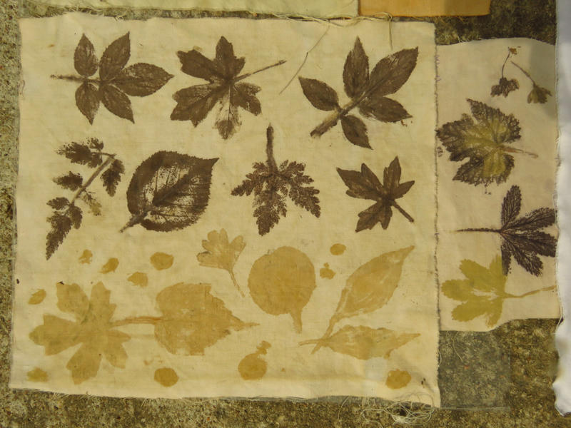 Stage de teintures végétales solaires