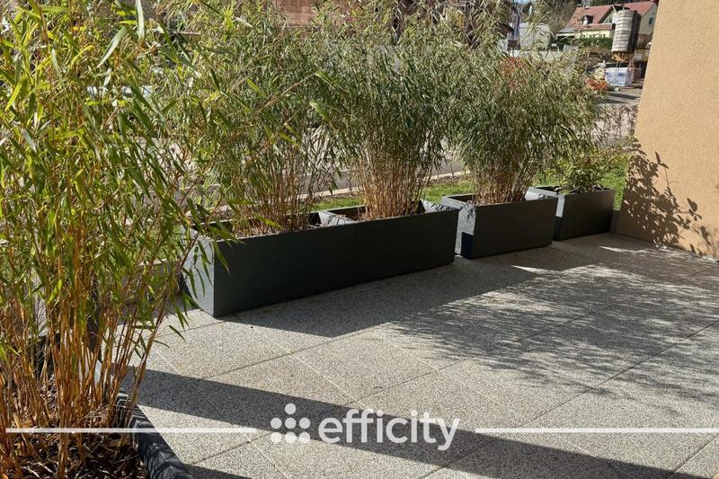 Appartement - 81 m² - 4 pièces