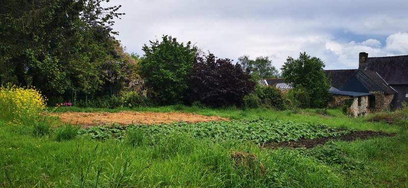 Maison en pierre - 187 m² - 6 pièces