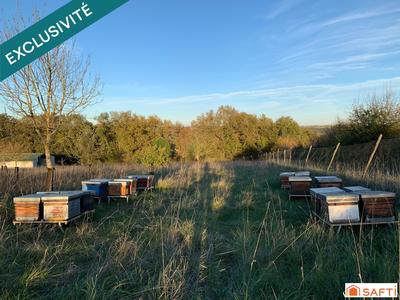 Terrain - 24 151 m²