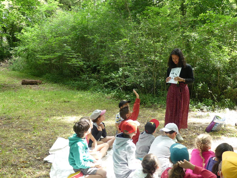 Atelier &quot;Petites Bêtes&quot;