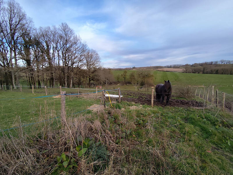 Maison - 160 m² - 4 pièces