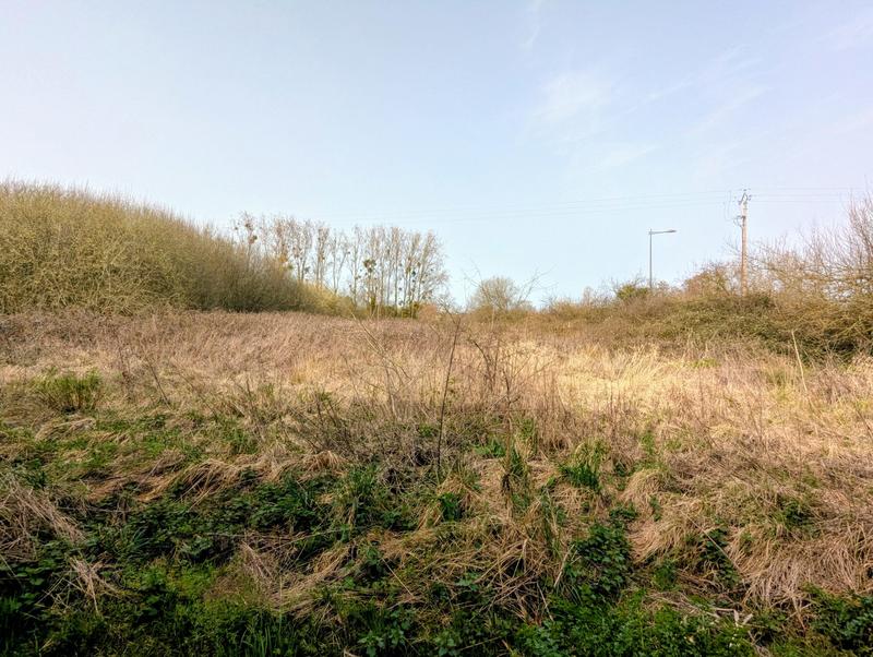 Terrain agricole - 11 983 m²