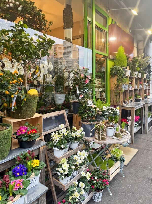 Fonds de commerce - Magasins - 80 m²