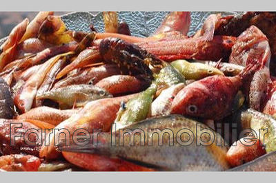 Fonds de commerce - Magasins - 100 m²