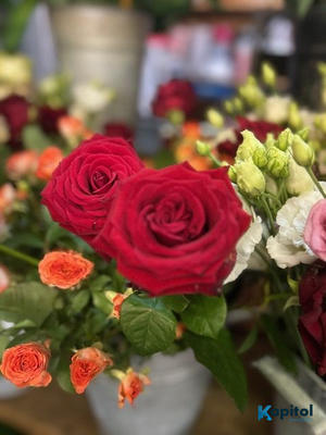 Fonds de commerce - 33 m²