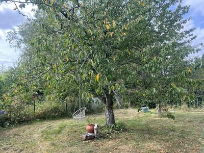 Maison ancienne - 130 m² - 5 pièces