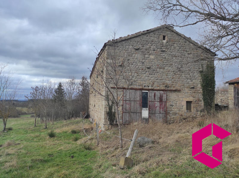 Ferme - 300 m² - 9 pièces