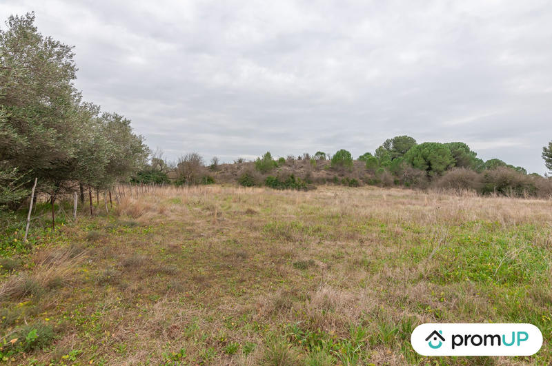 Terrain agricole - 10 601 m²