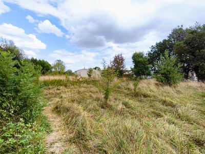 Terrain - 2 327 m²