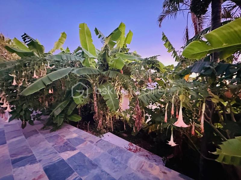 Villa - 185 m² - 8 pièces