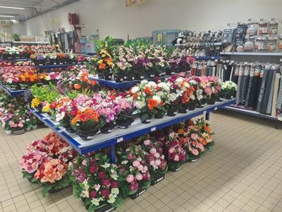 Fonds de commerce - 2 000 m²