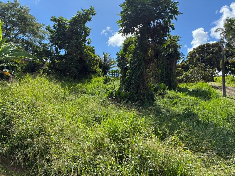 Terrain constructible - 1 075 m²