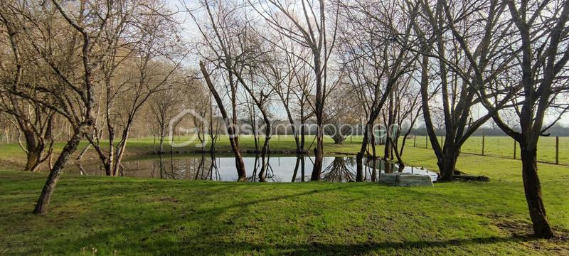 Propriété - 179 m² - 5 pièces