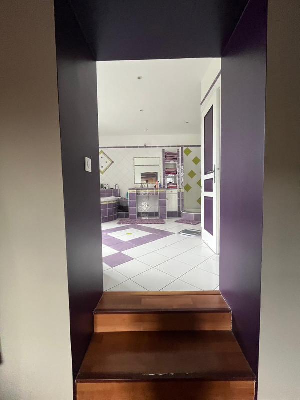 Maison - 250 m² - 7 pièces