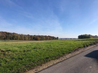 Terrain - 446 m²