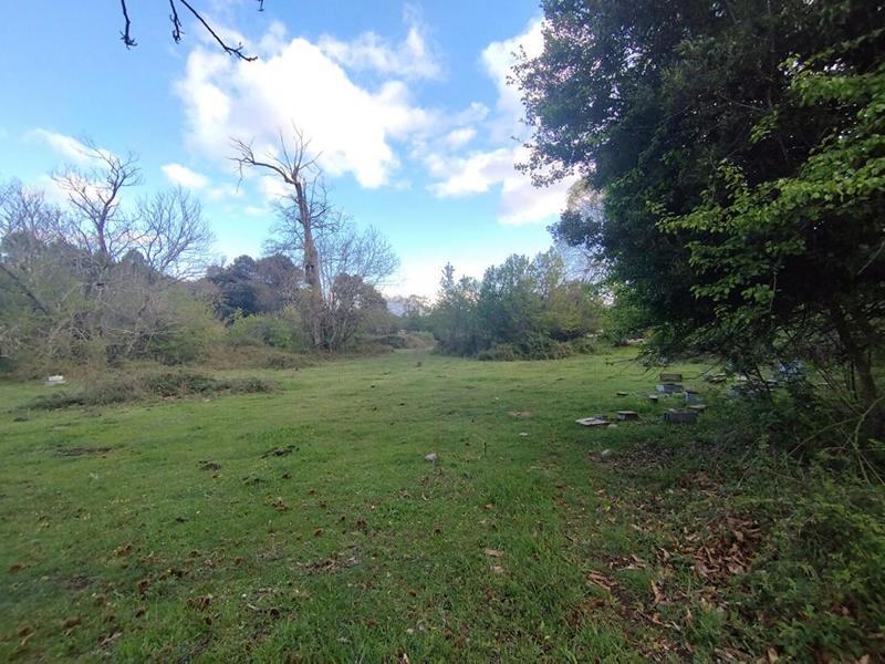 Terrain constructible - 3 000 m²