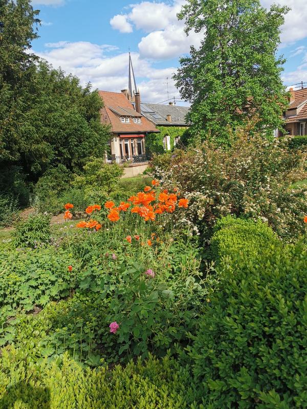 Maison - 500 m² - 9 pièces