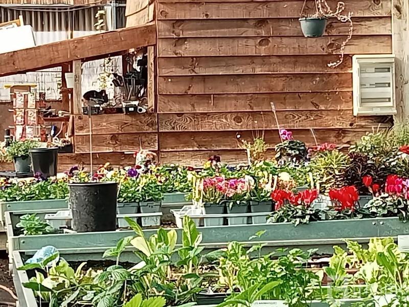 Fonds de commerce - Bureau - 3 000 m²