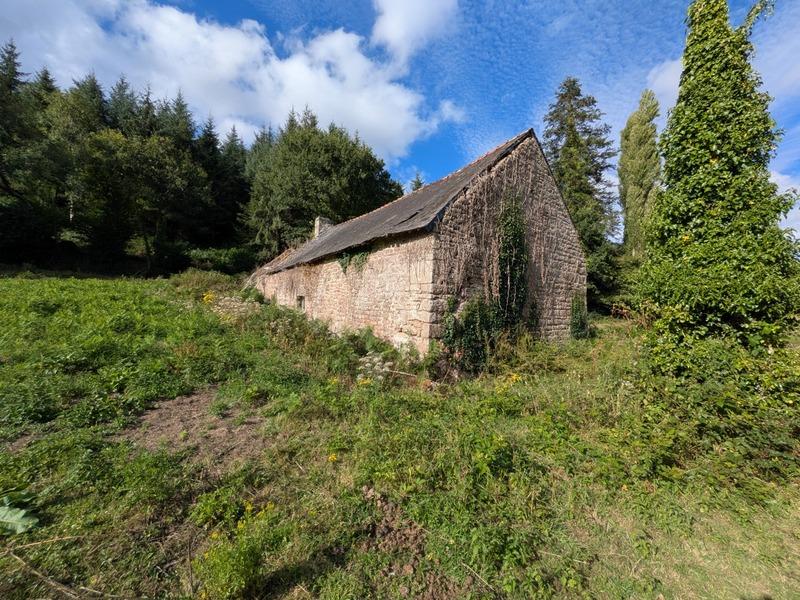 Longère - 430 m² - 12 pièces